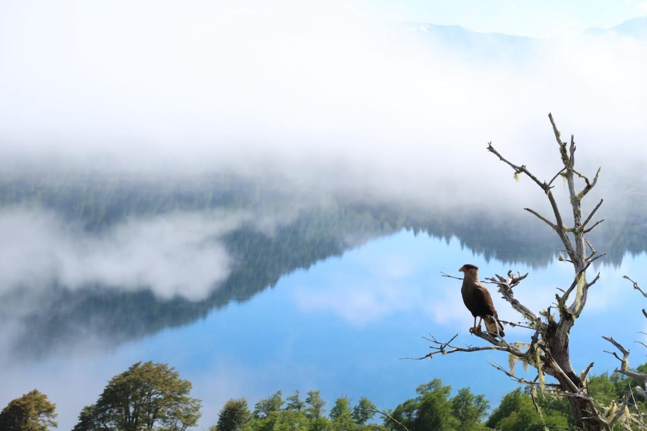 Hermoso Eco Lodge San Martín de los Andes Exteriér fotografie