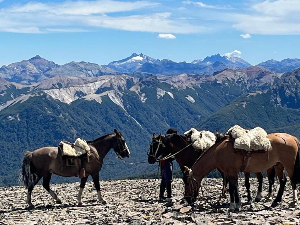 Hermoso Eco Lodge San Martín de los Andes Exteriér fotografie